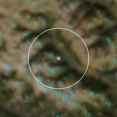 Imagen de satélite de Auron con la nieve marcada