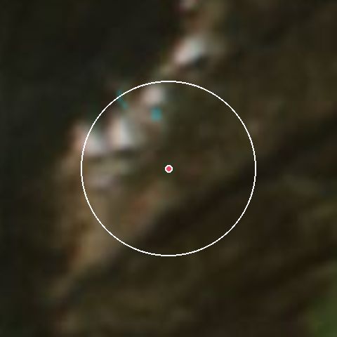 Imagen de satélite de Charlotte Pass con la nieve marcada