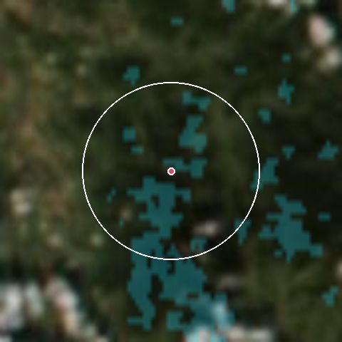 Imagen de satélite de Czarna Góra con la nieve marcada