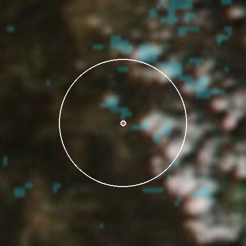 Imagen de satélite de Dinner Plain con la nieve marcada
