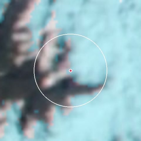 Imagen de satélite de El Colorado con la nieve marcada