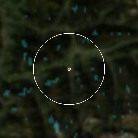 Imagen de satélite de Flachau con la nieve marcada