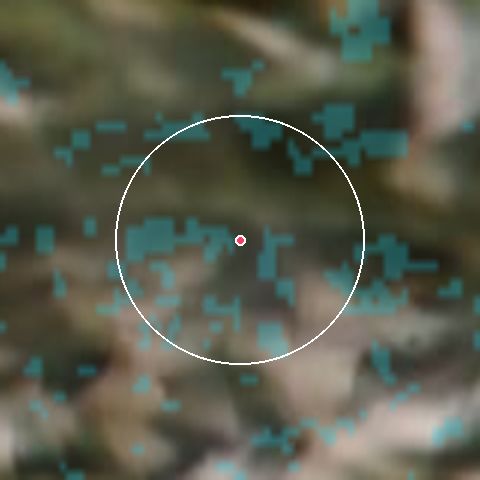Imagen de satélite de Kranjska Gora con la nieve marcada