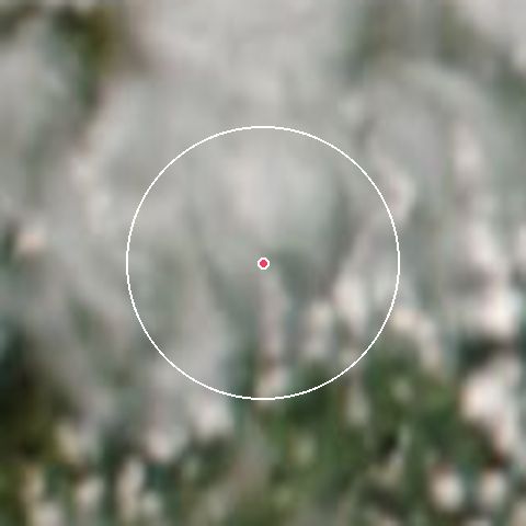 Imagen de satélite de La Combe Saint Pierre con la nieve marcada