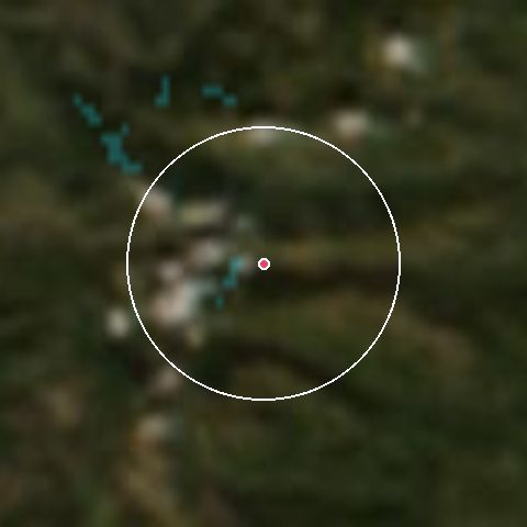 Imagen de satélite de La Croix de Bauzon con la nieve marcada