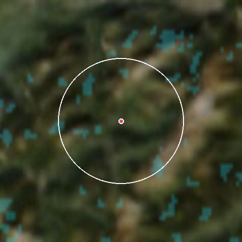 Imagen de satélite de Le Grand Bornand con la nieve marcada