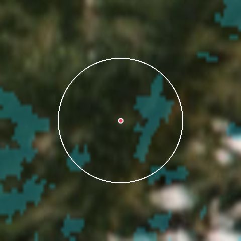 Imagen de satélite de Le Grand Valtin con la nieve marcada