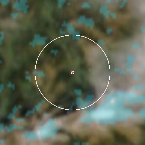 Imagen de satélite de Lenk con la nieve marcada