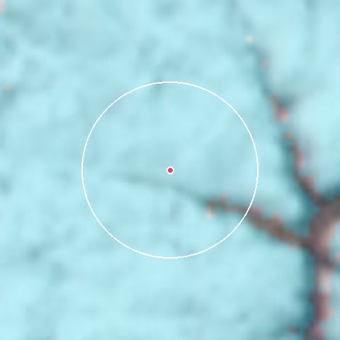 Imagen de satélite de Los Puquios con la nieve marcada