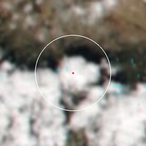 Puerto de la Raguaの衛星画像（雪を強調表示）