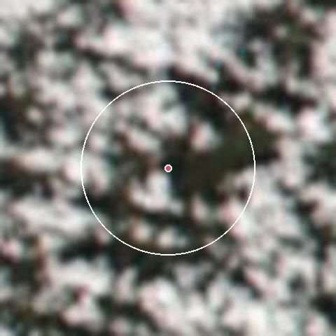 Imagen de satélite de Snowshoe Mountain con la nieve marcada